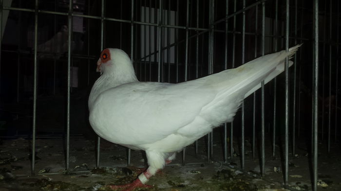 20141228_110805 - Varset dec 2014