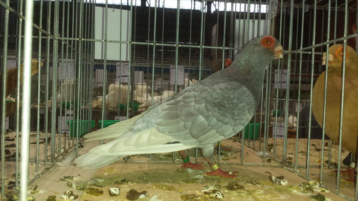 20141228_110839 - Varset dec 2014