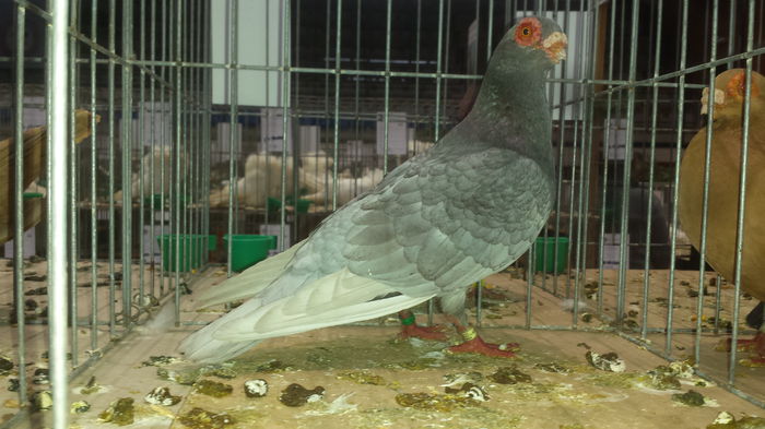 20141228_110841 - Varset dec 2014