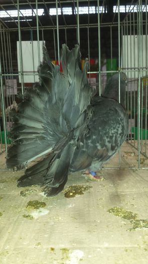 20141228_111136 - Varset dec 2014