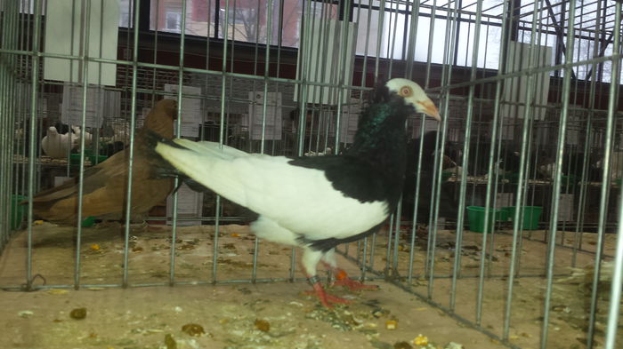 20141228_112317 - Varset dec 2014