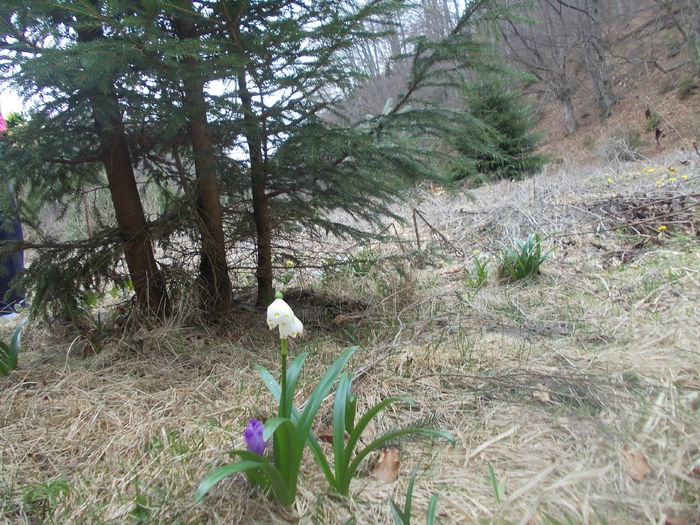 DSCN2809