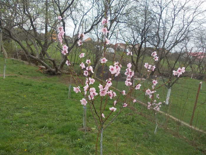 DSCN2843