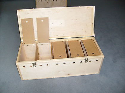 Plianta lemn 5 compartimente