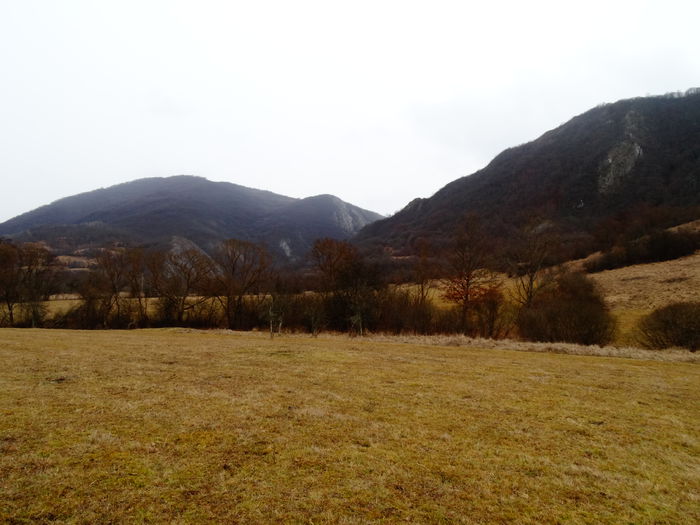 DSC08554 - Peisaje 2014 si alte imagini