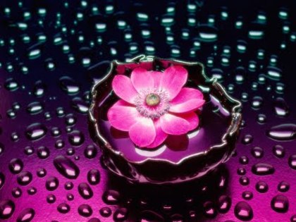 Petals and Water - concurs 1
