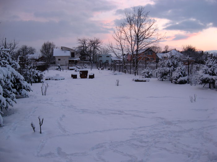 A nins o noapte si o dimineata intr-una - C2 Cele 4 anotimpuri - Grădina