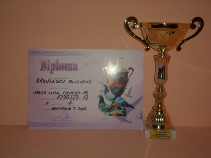 LOC 1 DEMIFOND YEARLINGI  2014 - TROFEE SI DIPLOME 2014