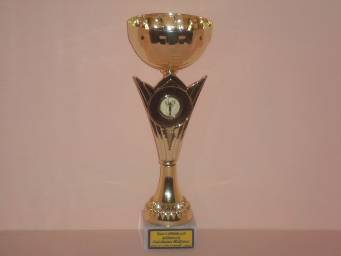 LOC 1 VITEZA PUI 2014 - TROFEE SI DIPLOME 2014