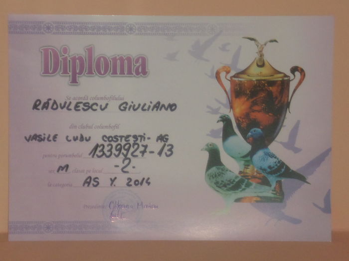 LOC 2 AS YEARLINGI 2014 - TROFEE SI DIPLOME 2014