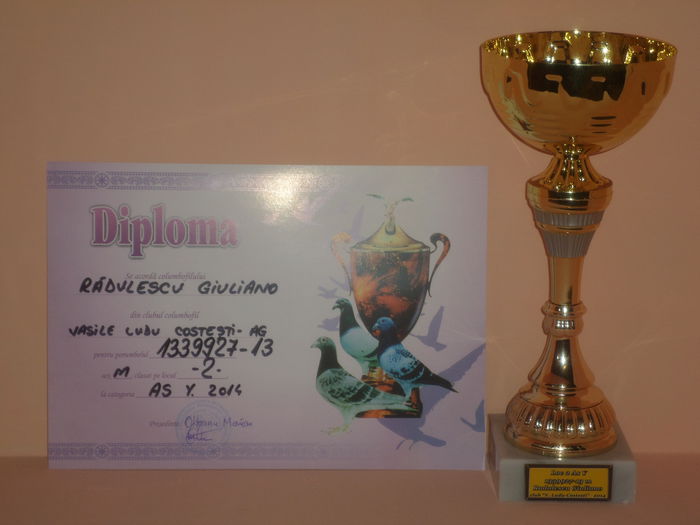 LOC 2 AS YEARLINGI 2014 - TROFEE SI DIPLOME 2014