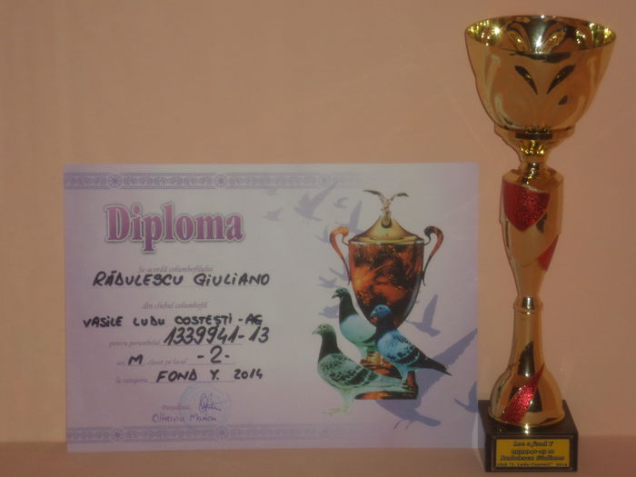 LOC 2 FOND YEARLINGI 2014 - TROFEE SI DIPLOME 2014