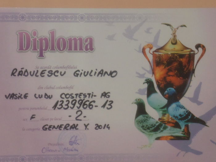 LOC 2 GENERAL YEARLINGI 2014 - TROFEE SI DIPLOME 2014