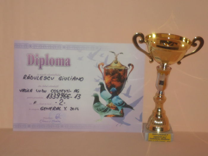 LOC 2 GENERA LYEARLINGI 2014 - TROFEE SI DIPLOME 2014