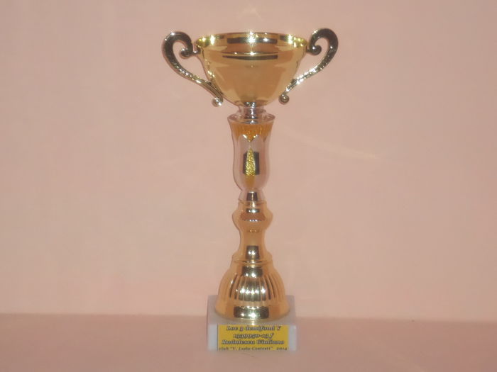 LOC 3 DEMIFOND YEARLINGI 2014
