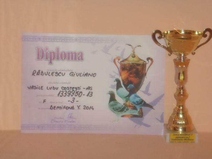 LOC 3 DEMIFOND YEARLINGI 2014