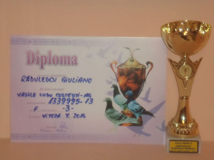 LOC 3 VITEZA YEARLINGI 2014
