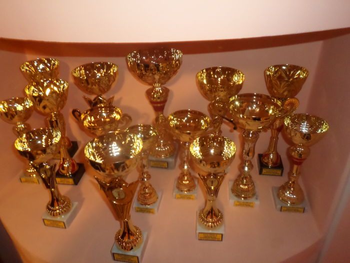 TROFEE 2014