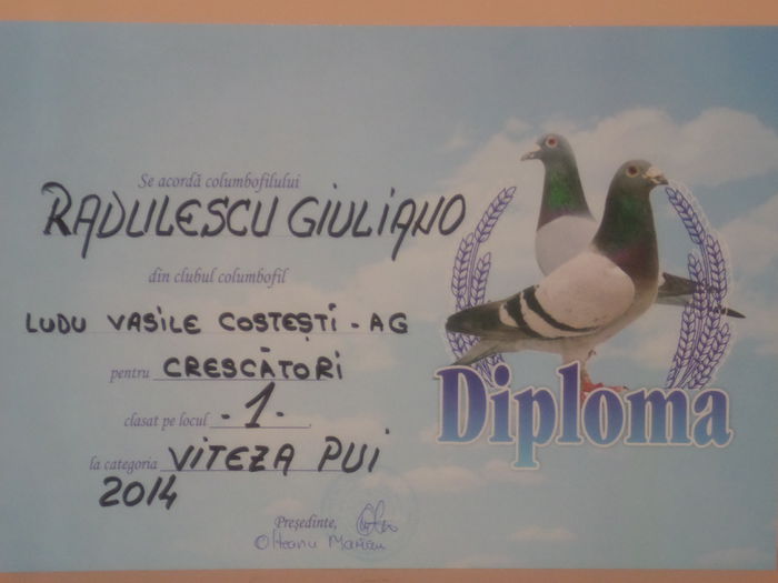 LOC 1 VITEZA PUI CRESCATORI - TROFEE SI DIPLOME 2014