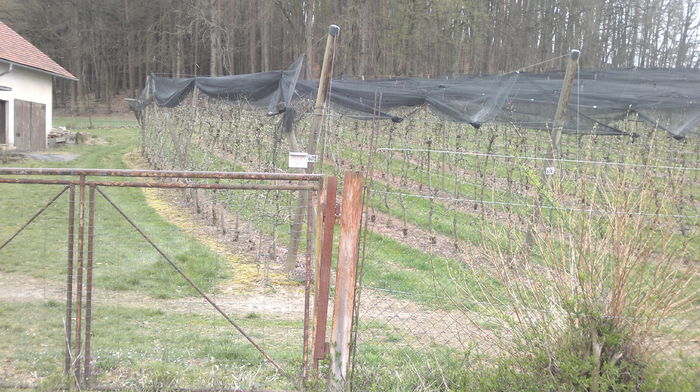 2014-03-23-340 - Primavara 2014