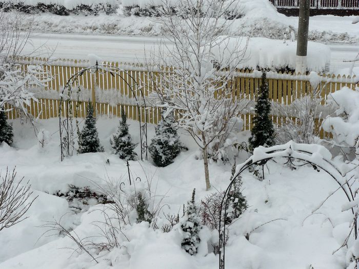 Gradina rozelor scufundata in zapada