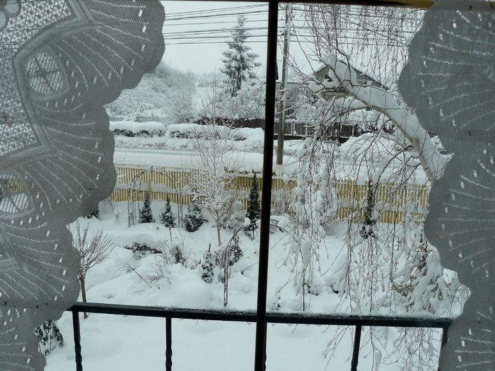 De la fereastra - Gradina Rozelor_2014 iarna