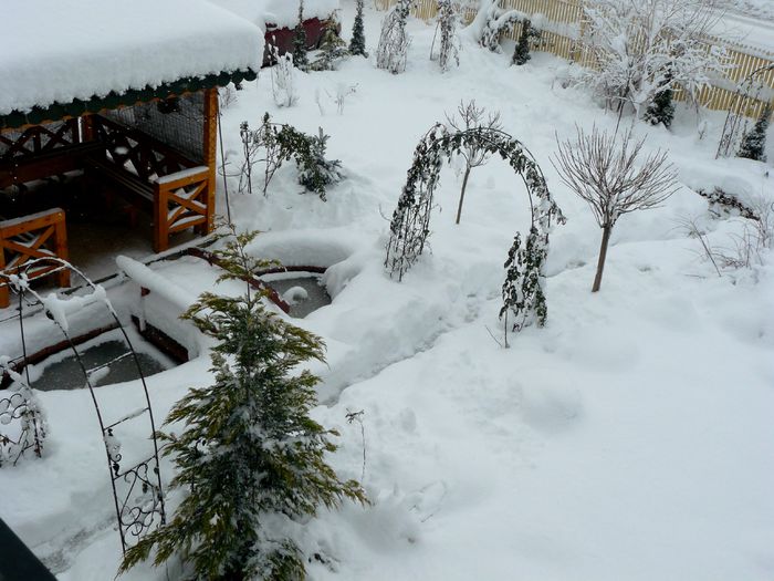 Anul Nou poate sa vina