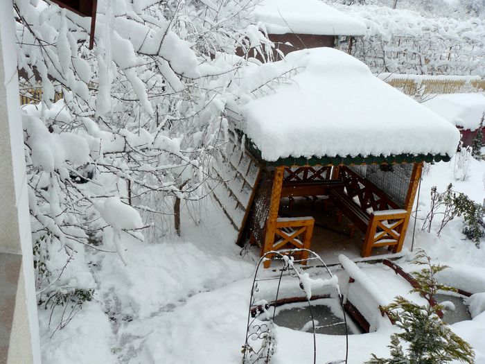 Adio 2014 ! Bine ai venit 2015 ! - Gradina Rozelor_2014 iarna