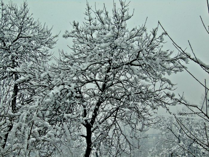 DSC00535