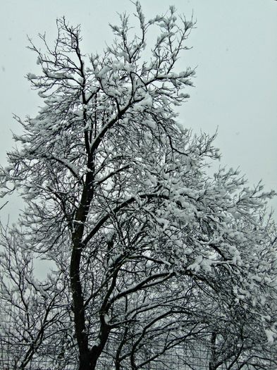 DSC00539