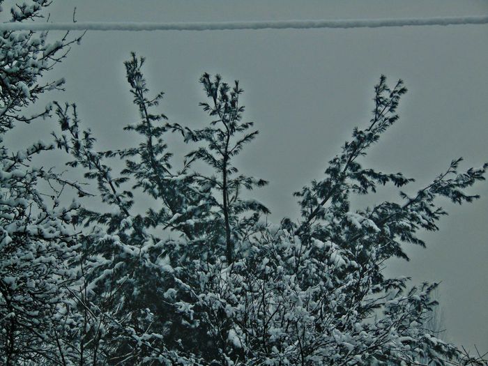DSC00540