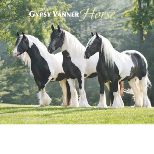 51CyruF0BAL - GYPSY-Horses