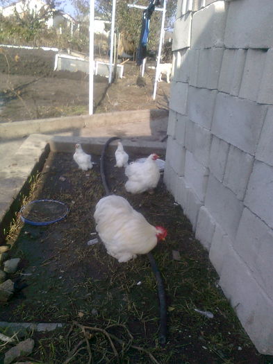 %u0424%u043E%u0442%u043E0731