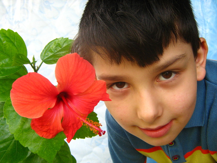 Picture 050 - flori diverse