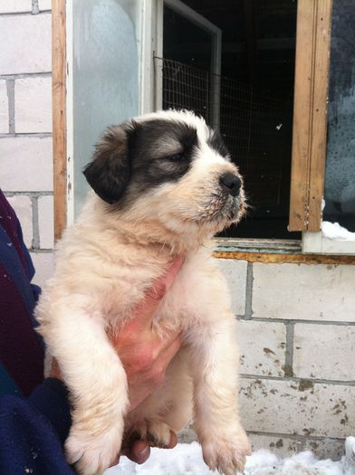 IMG_1437 Fetita 1; Fetita 1
