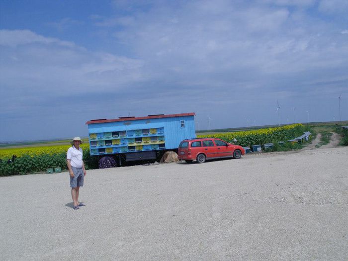 556655_421632154538538_895726502_n; eu in pastoral, dobrogea
