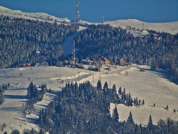 DSC00601