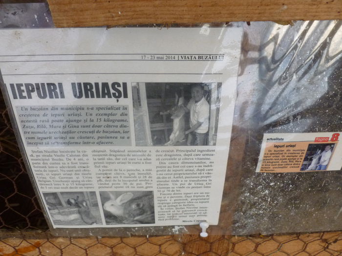 APARITIE PRESA - Divizia de iarna