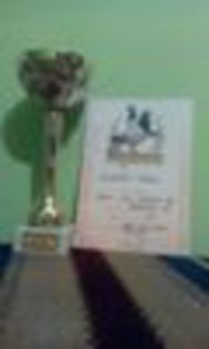 10893375_614877075325017_1895990636_n - Rezultate si trofee 2014