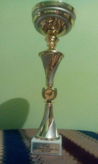 10893828_614873861992005_707360140_n - Rezultate si trofee 2014