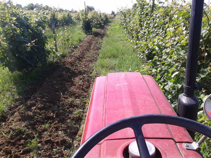 Fotografie-0205 - tractoras japonez lucrari