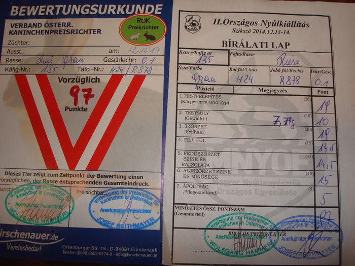 H24 R878 ( F  ) 97 pct - Nationala Ungaria 2014 - Femele