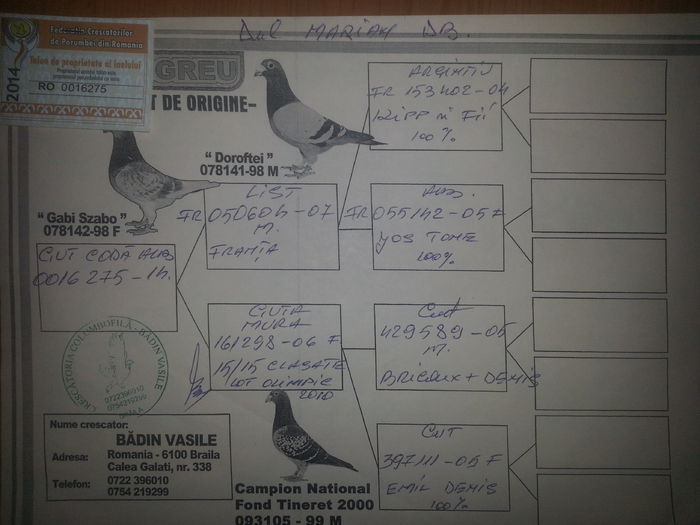 fica mura 15din 15 clasate fond maraton - achizitii 2015