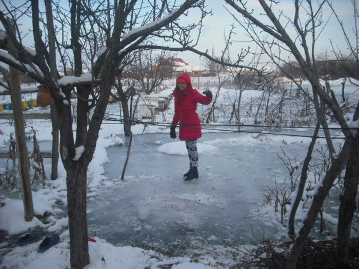 DSCF0019 - 31 01 2015 GRADINA PATINOAR