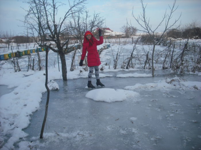 DSCF0028 - 31 01 2015 GRADINA PATINOAR