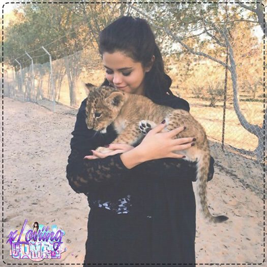 ✿ 179 day - o3.o1.2o15