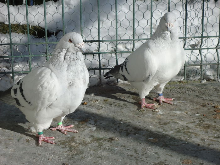 M-2013-4211&M-2012-316