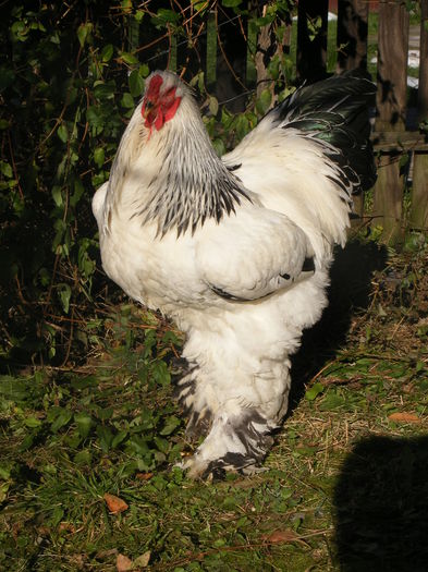 2014 george68.sunphoto