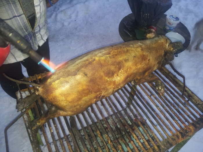 IMG_20150101_170330 - Porci vietnamezi
