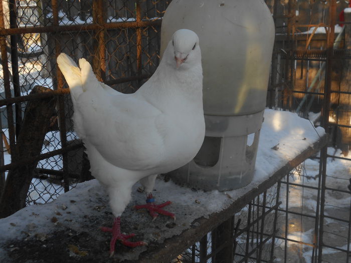 DSCN0495 - Karieri matca 2015